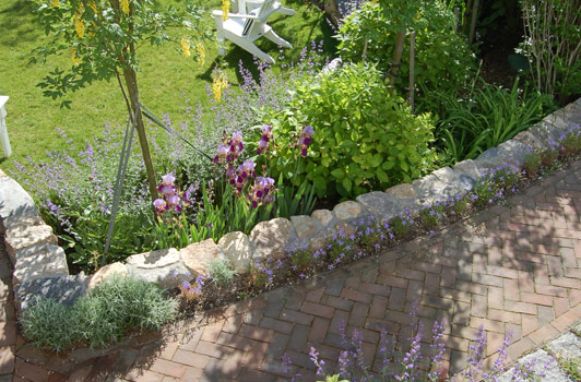 title:The middle path gives access to the side Street. Golden chain trees line this path. Beds of bearded irises, catmint, and creeping thyme are seen here in bloom.